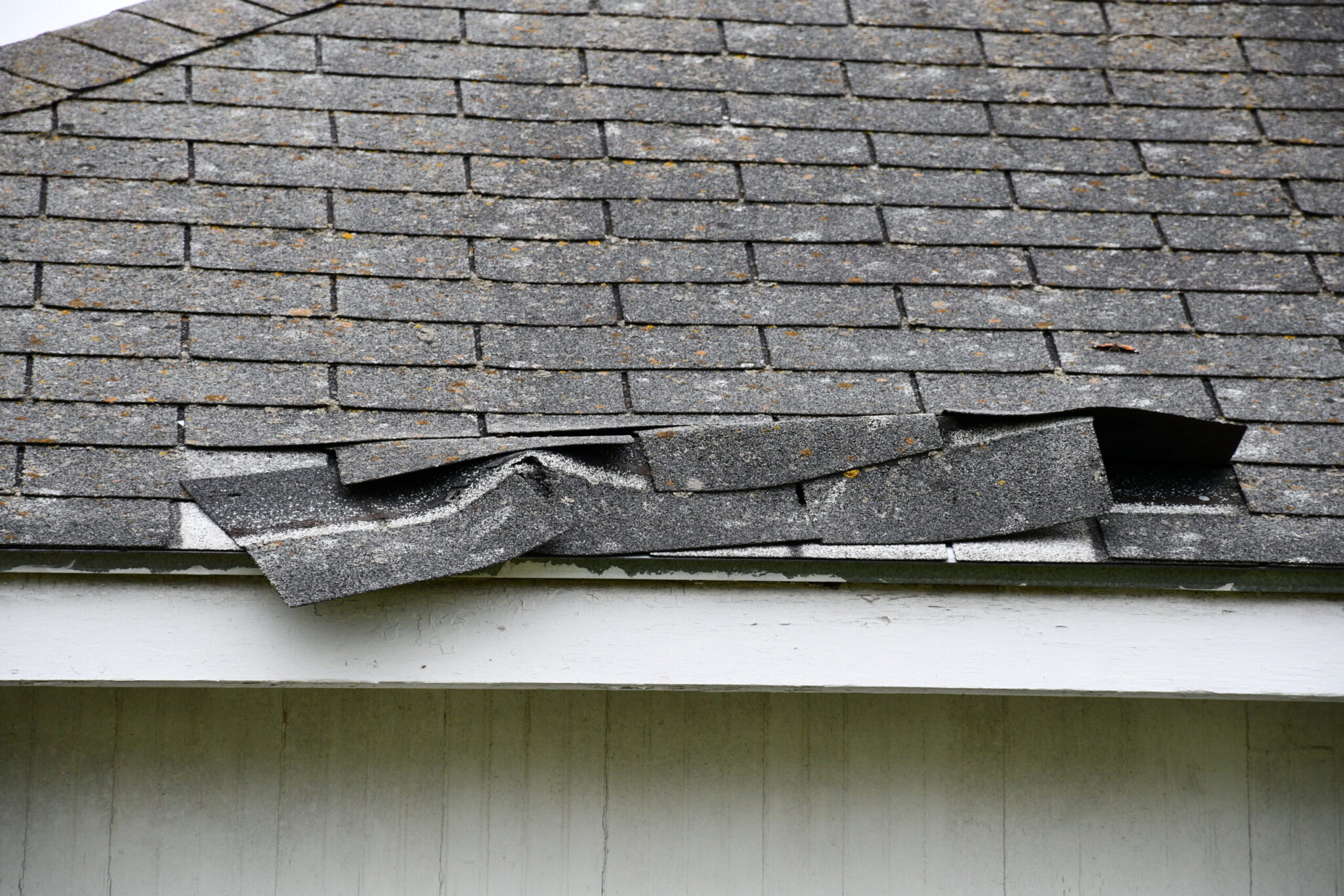 Shingle Damage